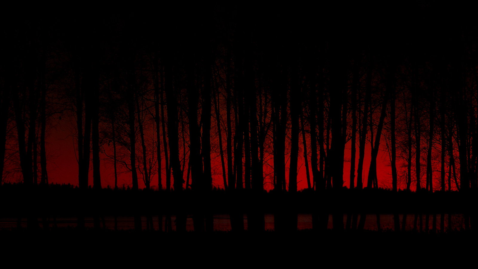 Mary Lyne header