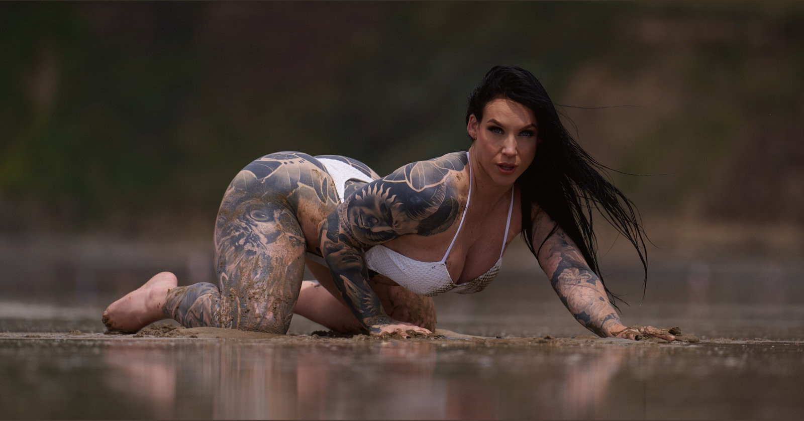 VIXEN XXX header