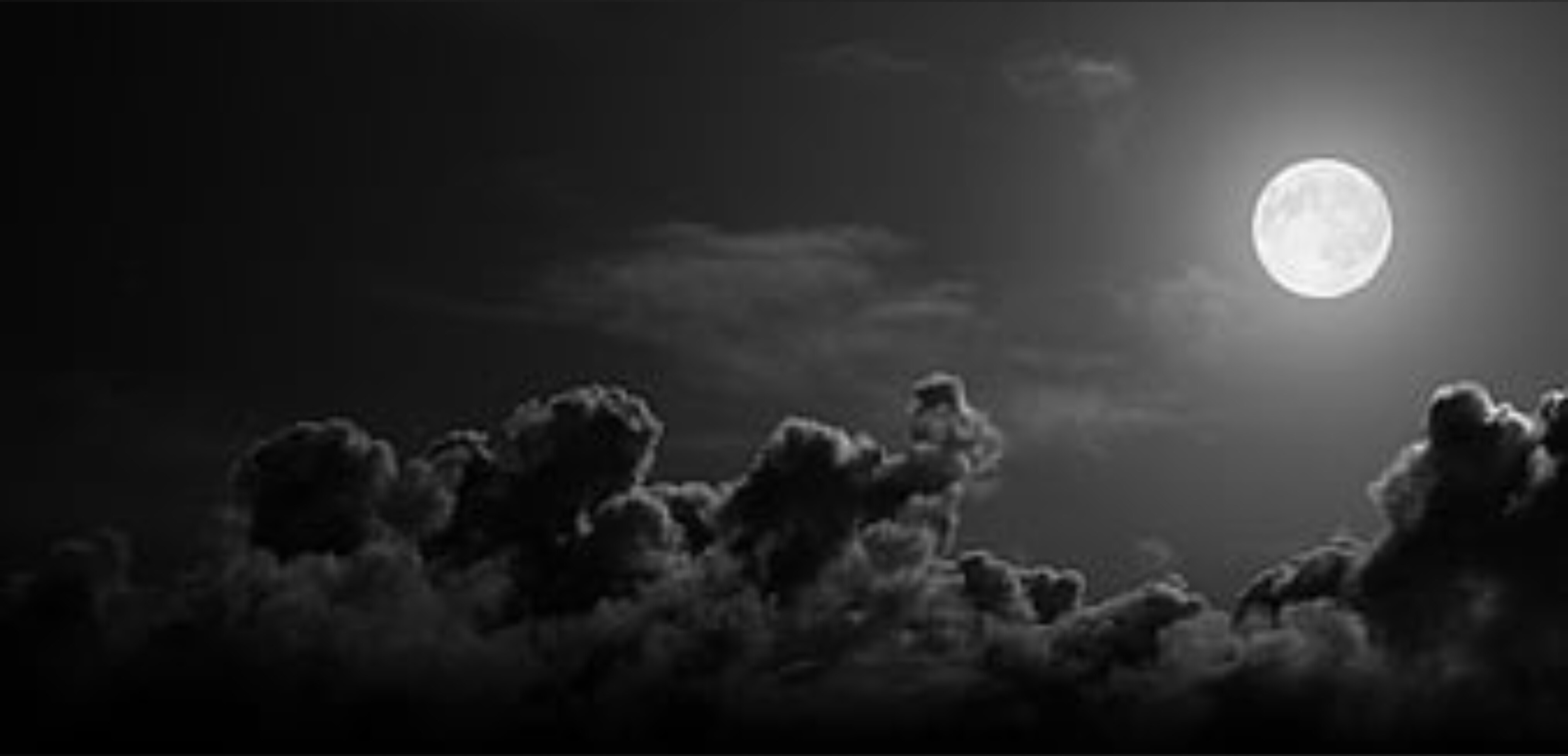 Vannah Rain header