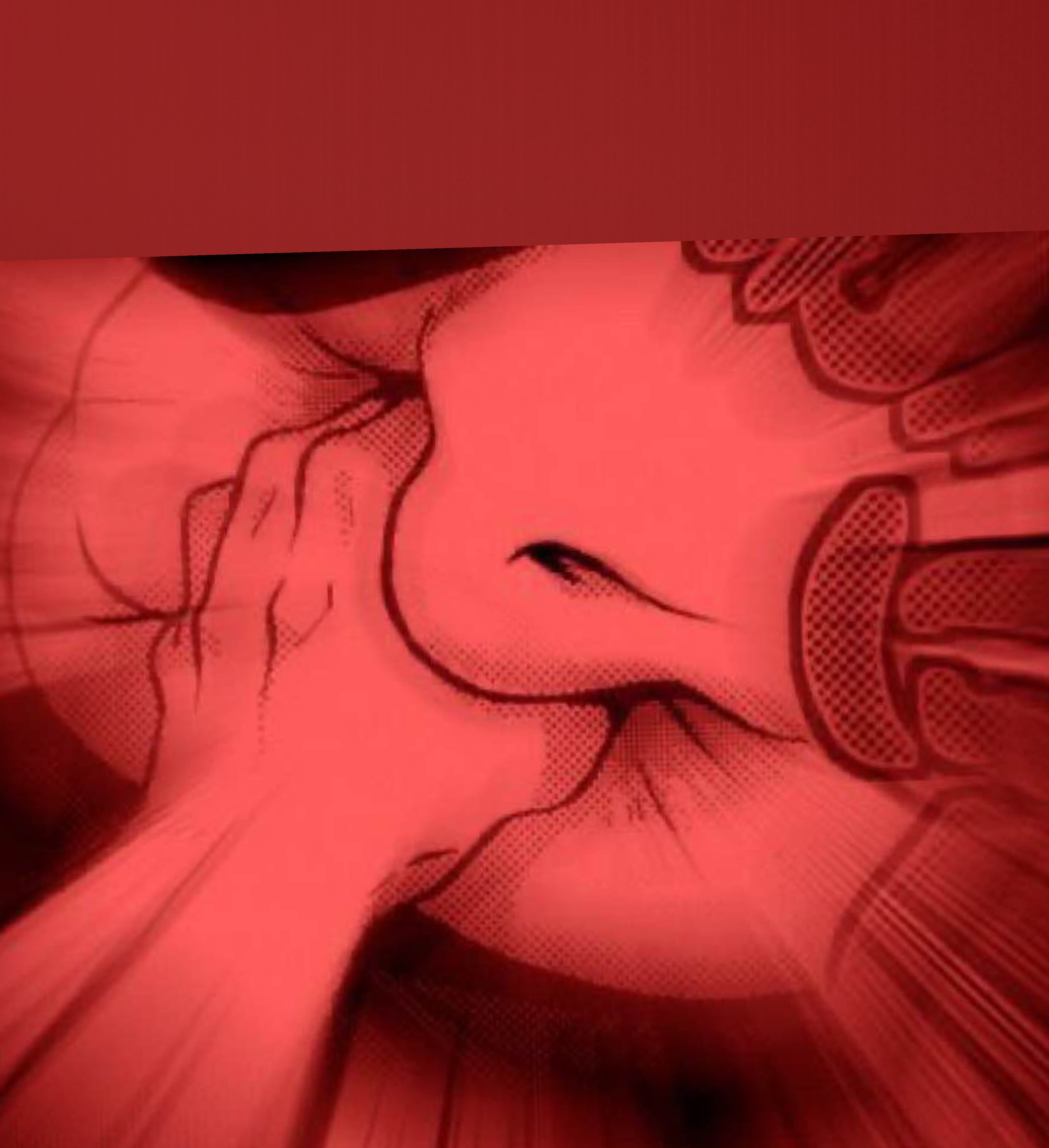 Wynter Vixxen header