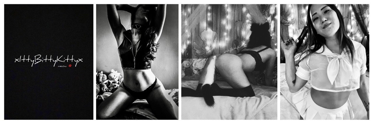IttyBittyKitty header