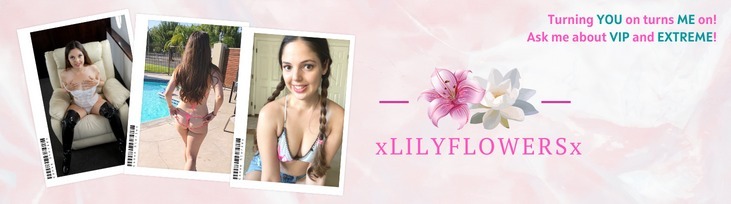 🌸Lily Flowers🌸 header
