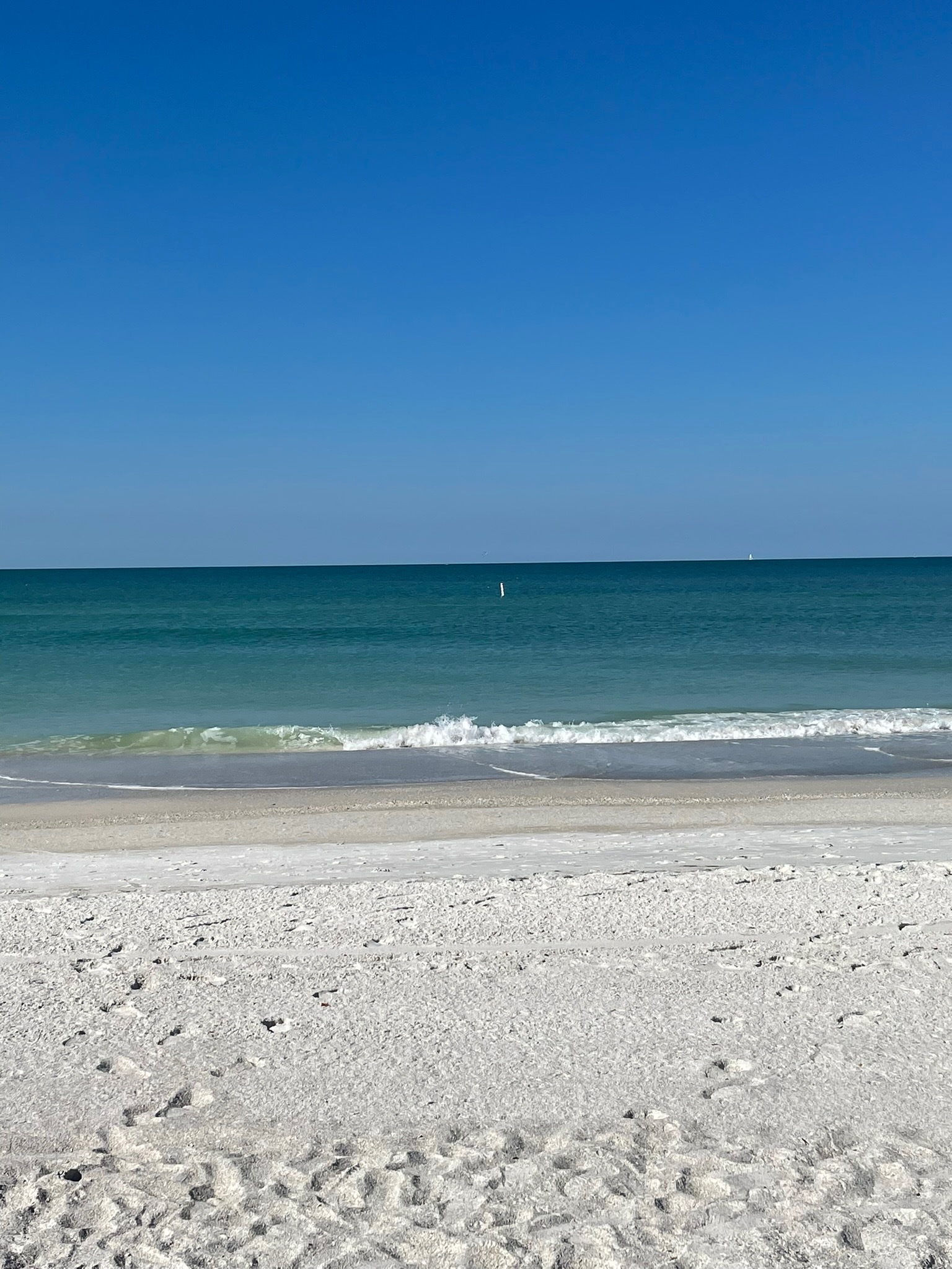 xxchloebaby VIP💘 | top 0.9% header