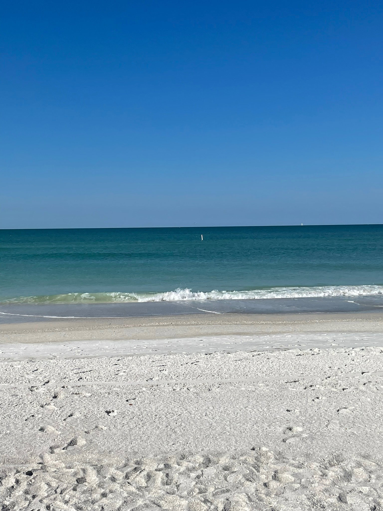 xxchloebaby VIP💘 header