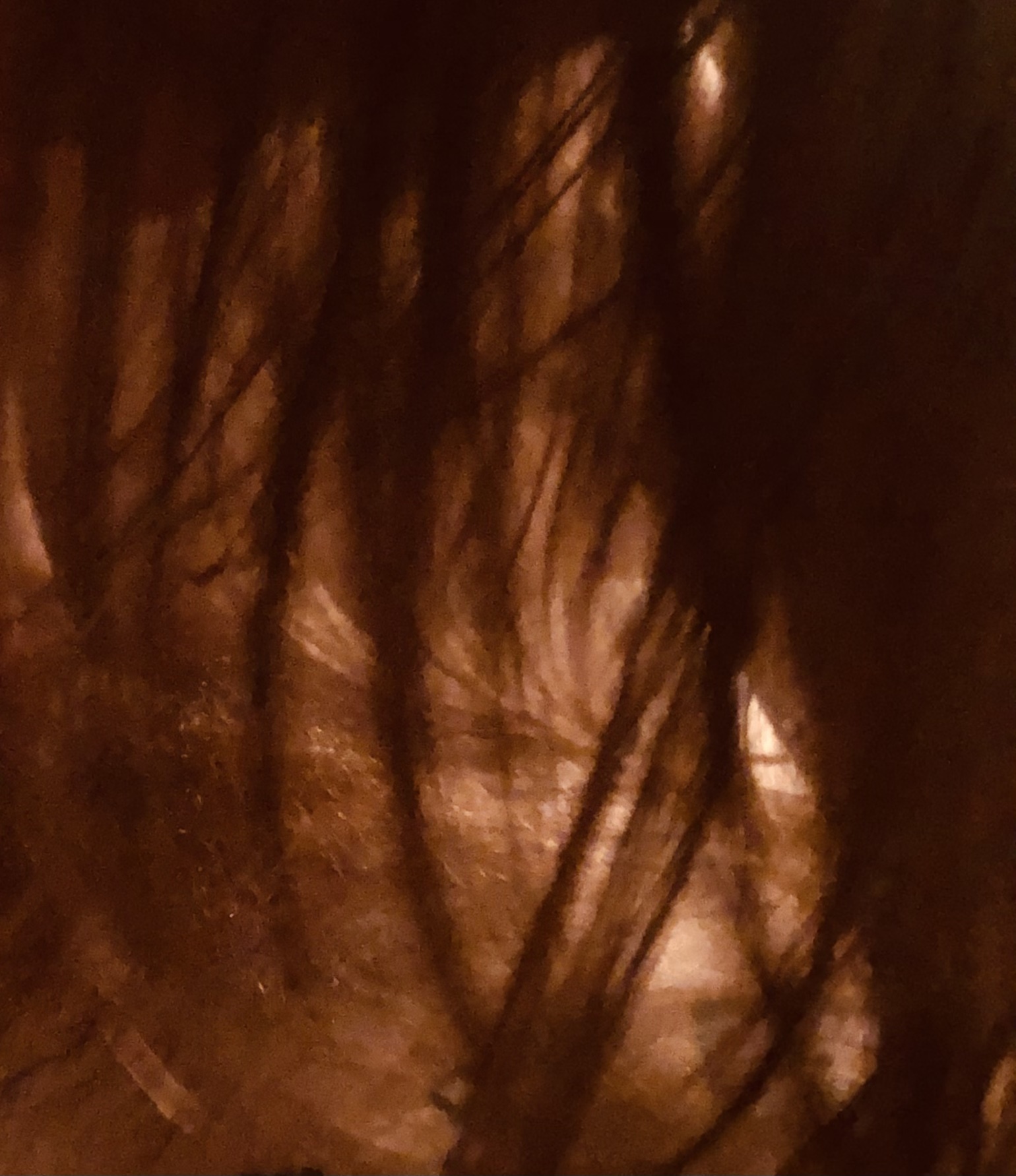 HiddenBrooke 🇫🇷