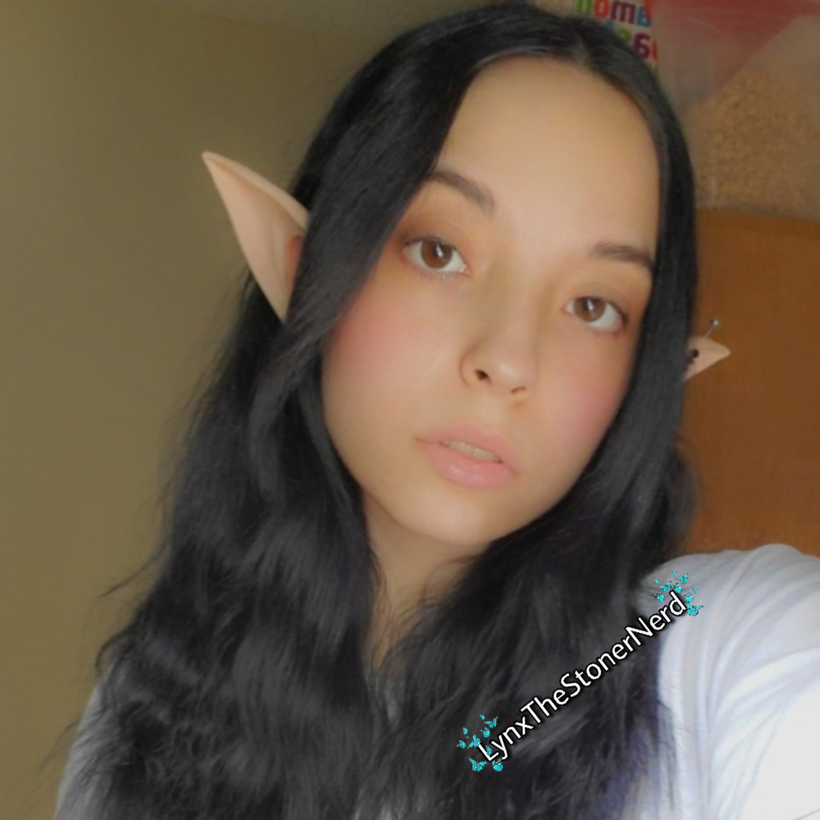 Lynx Lavorre - Onlyfans Creator