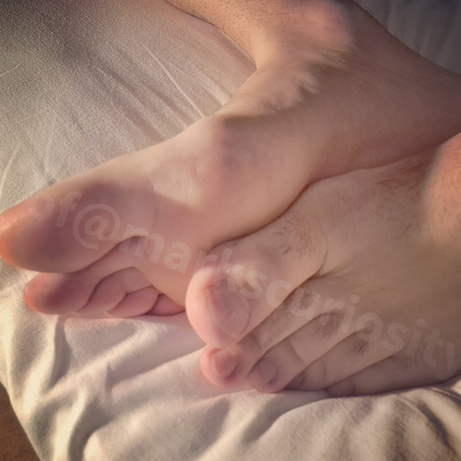 Mark's Curiosity - Onlyfans Creator