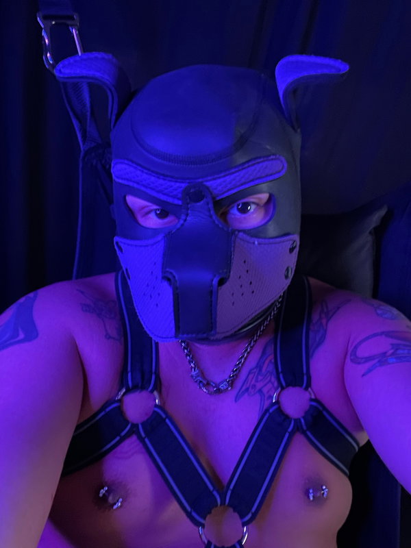 Pup Vexus - OnlyFans creator with 0 reviews (0.0/5 stars)