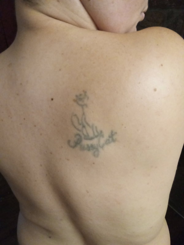 PussyKatt - OnlyFans creator with 0 reviews (0.0/5 stars)