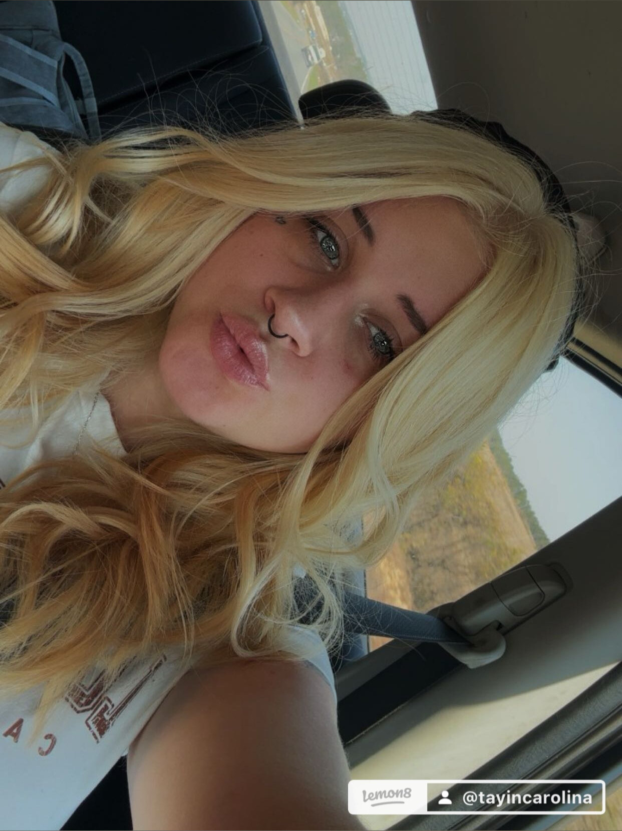 taylor blake