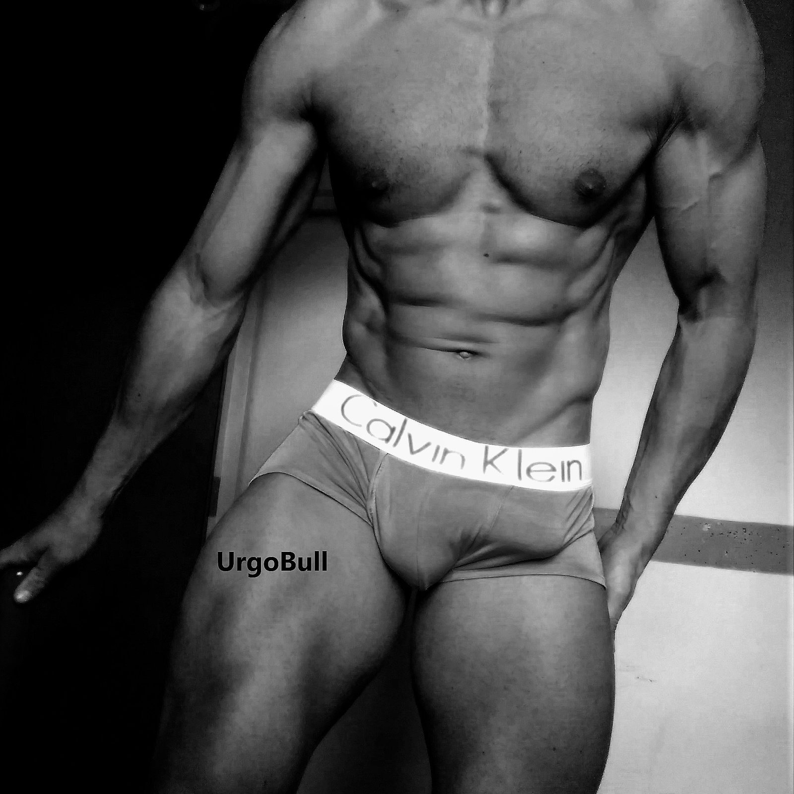 URGOBULL - Onlyfans Creator