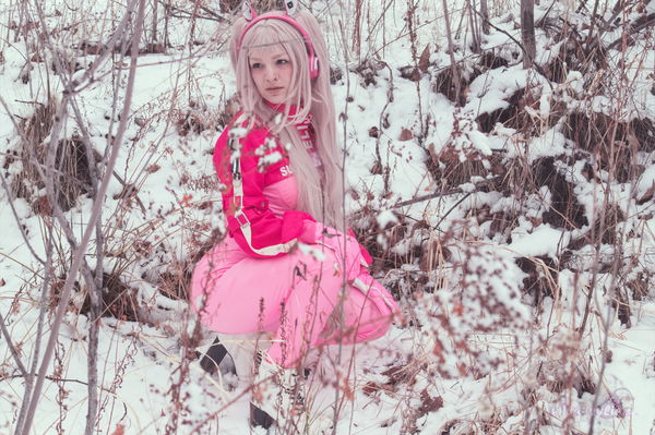 Wylie Wanderlust (Customs Closed)